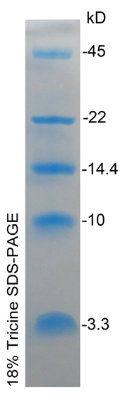 超低分子量蛋白Marker IV